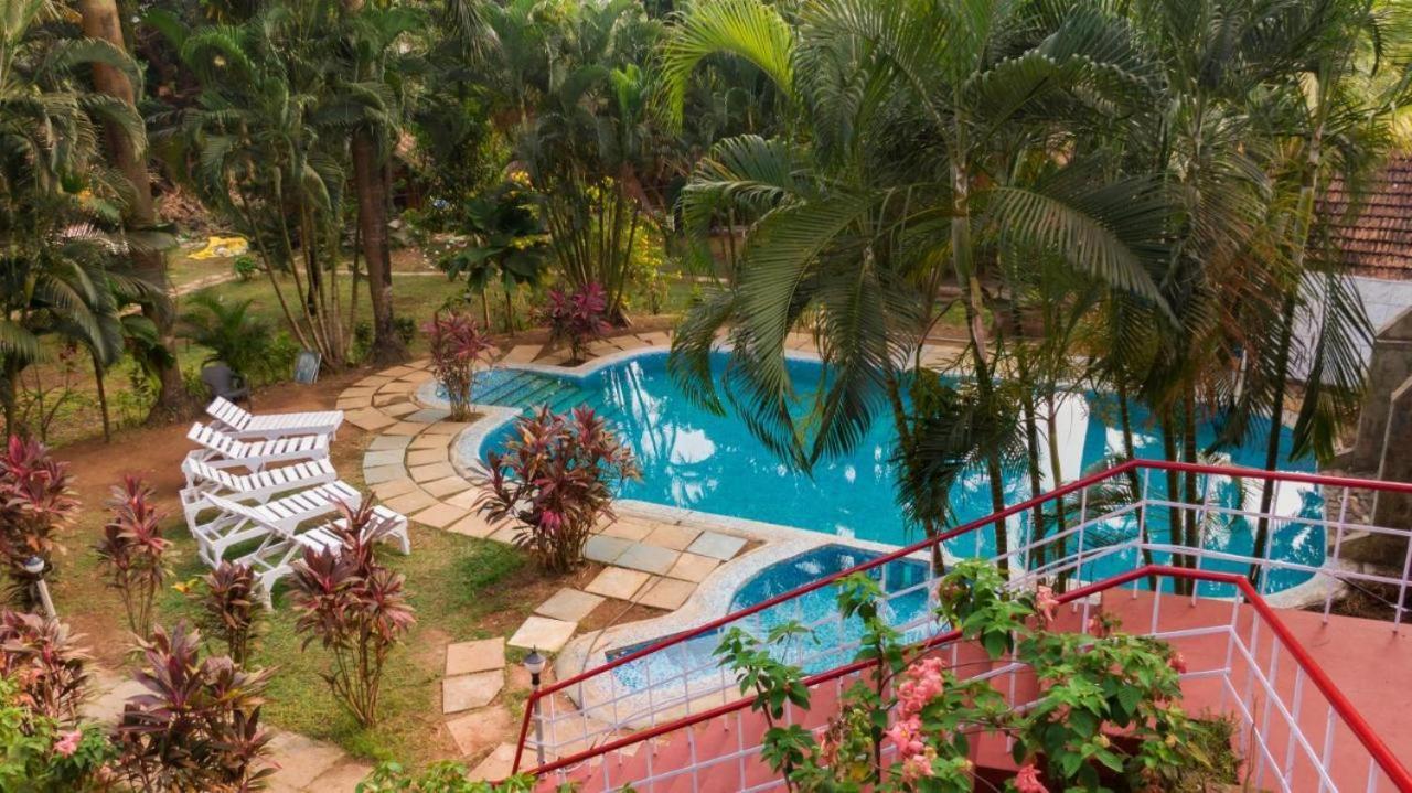 Tropical Valley Resort Morjim Exteriör bild